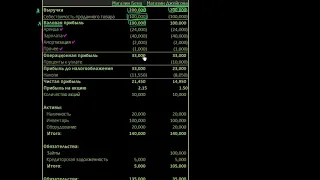 Валовая и операционная прибыль (видео 6) |Акции и облигации | Экономика