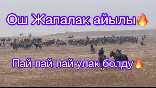 Жапалак🔥айылы Ош шаары, Той Улак 🇰🇬✅👍