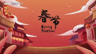 Festive China: Spring Festival