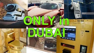 10 CRAZY THINGS You'll only see in Dubai