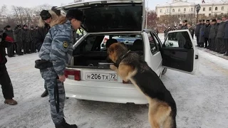 Операция мигрант или шмон машины от Полиции Москвы