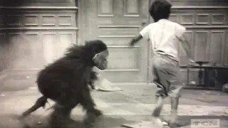 Buckwheat being chased by a two faced monkey