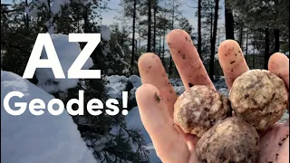 Exploring Geode Hill in Winter | Rockhounding Near Phoenix