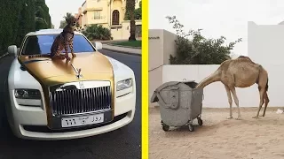 Crazy and Amazing Things You Will Only See In Dubai