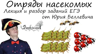 Отряды насекомых. Лекция и разбор заданий от Юрия Беллевича