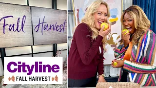 Our Harvest Special | Cityline | Full Episode