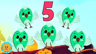 Five Little Birds Counting Numbers and Fun Learning Rhymes for Children