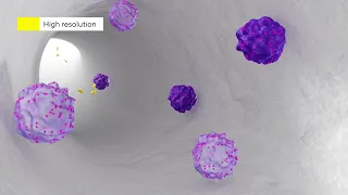 Monolithic Chromatography Explained in 3D