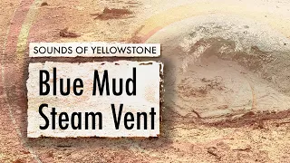 Blue Mud Steam Vent — ASMR, Sleep, Concentration (Sounds of Yellowstone)