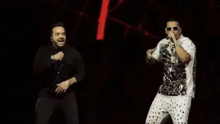 Luis Fonsi & Daddy Yankee - Despacito  2k20 Live [4K Quality]
