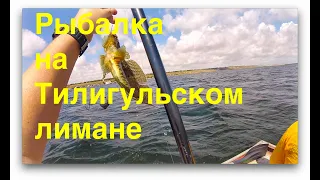 Рыбалка на Тилигуле. Fishing on the estuary Tiligul. Ukraine.