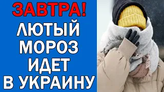 ПОГОДА НА 8 ФЕВРАЛЯ : ПОГОДА НА ЗАВТРА