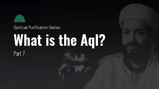 Ep. 7 | What is the Aql? What is the inter relationship between my Soul, Self, Heart and Intellect?