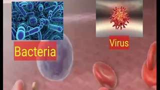 Wound healing process animation  process of wound healing nursing