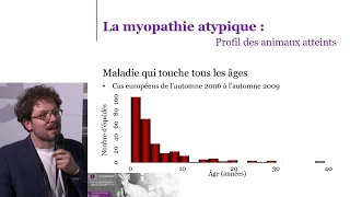 Benoit Renaud - JSIE 2019 - Myopathie Atypique : comment mieux gérer le risque ?