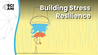 Building stress resilience