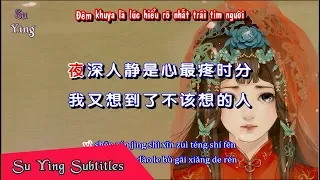 Vietsub | Mệt Rồi Đau Rồi Không Yêu Nữa - Hứa Lệ Tịnh | 累了痛了不爱了 - 许丽静 | Nhạc Hot Tiktok