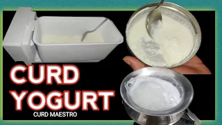 How to make Curd at home #Curd Maestro #Tasty and hygienic Curd #Fridge yogurt #Gardening is my life