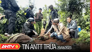 Tin tức an ninh trật tự nóng, thời sự Việt Nam mới nhất 24h trưa 29/8 | ANTV