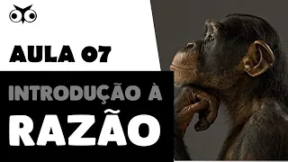 Introdução à razão | Introdução Geral à Filosofia | Prof. Vitor Lima | Aula 07