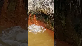 Кипящий НАРЗАН. Молодильная вода в Джилы Су #Приэльбрусье #Россия