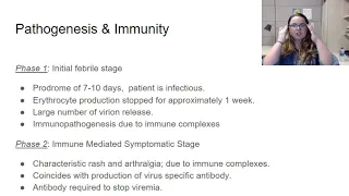 5th Disease B19 Parvovirus