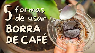 Como Adubar a Horta com Borra de Café