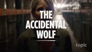 The Accidental Wolf Season 3 | Clip 3 | Topic