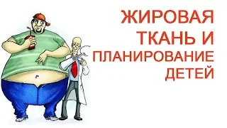 Жировая ткань и планирование детей