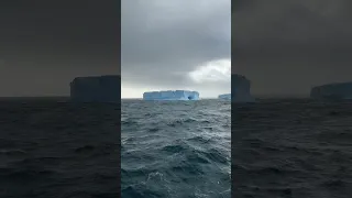 HUGE ICEBERG SPOTTED IN ANTARCTICA #antarctica #polar #antarctic #iceberg #icebergs