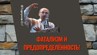 Фатализм и предопределённость! Торсунов лекции