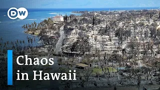 Hawaii officials rush to clean up toxic fire dust on Maui before it spreads | DW News