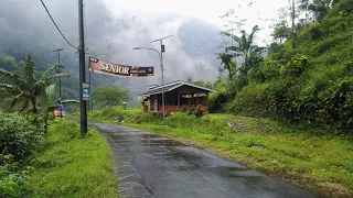 Rain in Beautiful Hilly Village Indonesia walk in rain sounds for sleeping #rain #asmr #rainwalk