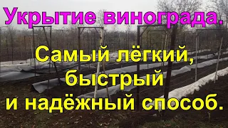 Укрытие винограда на зиму. Самый быстрый, лёгкий и надёжный способ.