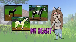 Checking out Peoples horses in whi! IB: “Coolest IUHs in public servers” videos!