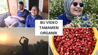 KÖYDE BİR GÜN GEÇİRMEK | HERŞEY DALINDAN ORGANİK | AKRABALARLA TANIŞIN | BAYRAM VLOGU