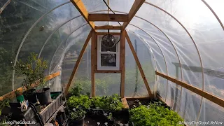 DIY PVC Greenhouse In A Day 🌱 Full Step-By-Step Easy Low Cost Build Instructions