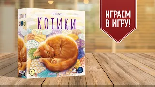 КОТИКИ: Играем в настольную игру!