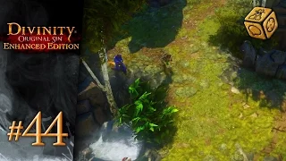 Into Luculla Forest we go - Let's Play Divinity: Original Sin - Enhanced Edition #44