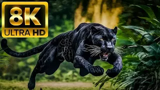 HUNTER ANIMALS - 8K ULTRA HD - With Relaxing Music (Colorfully Dynamic)