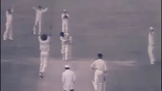 Ian Botham and Bob Willis bowl out New Zealand 1978 at Lords