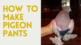 How to Make Pigeon Pants/Pigeon Diaper