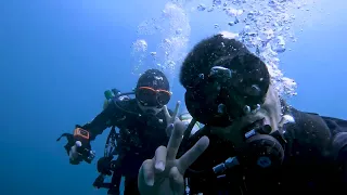 Bali Scuba Diving 2023