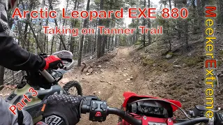 Arctic Leopard - Taking on Tanner Trail - Part 3