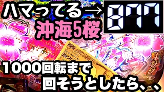 ハマってる沖海5桜を1000回転まで回そうとしてみたら、、【Pスーパー海物語 IN 沖縄5 桜ver.199】