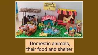 How to create domestic animals,their food and shelter for school project.