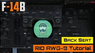 DCS World - F-14 Tomcat - Back Seat - RIO AWG-9 Tutorial