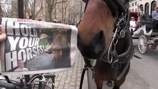 Thank You DAILY NEWS!  For Campaigning to Save City's Beloved Carriage Horses! 4/16/14