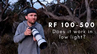 Canon RF 100-500 Does it WORK in LOW LIGHT & with Teleconverters? SURPRISING Results!