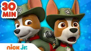 Patrulha Canina | 30 minutos dos melhores resgates do Tracker na selva! | Nick Jr. em Português